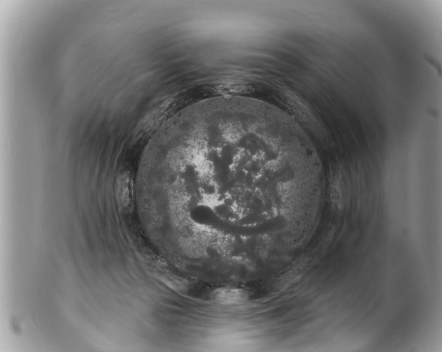 X0000101230169200807071420