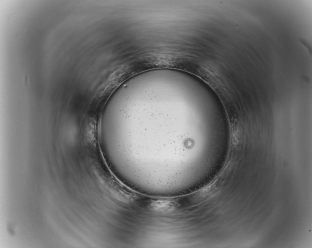 X0000101230175200807071420