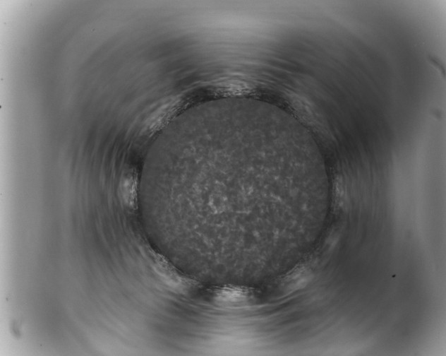 X0000101230177200807071420