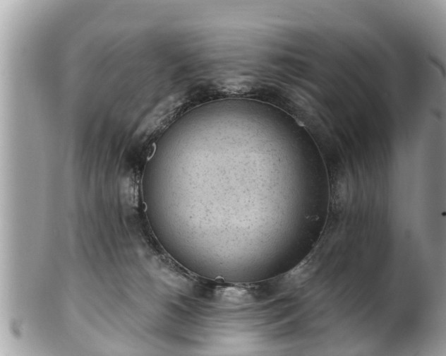 X0000101230180200807071420