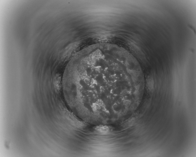 X0000101230181200807071420