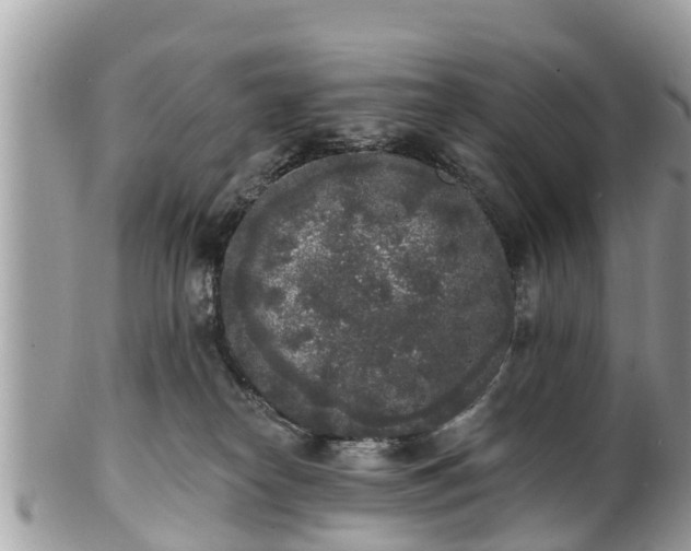 X0000101230182200807071420