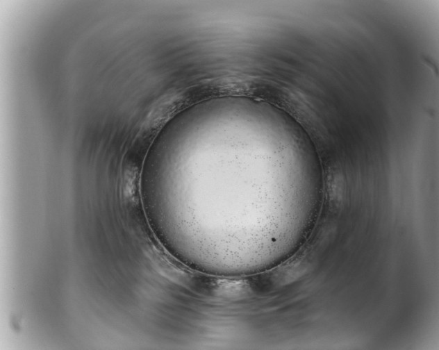 X0000101230185200807071421