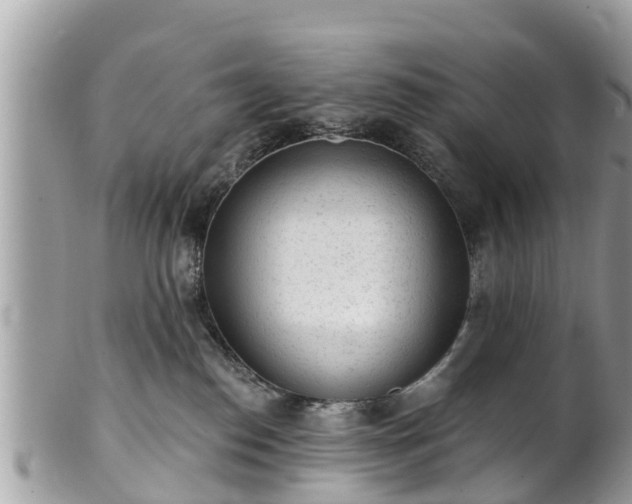 X0000101230186200807071421