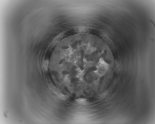 X0000101230189200807071421