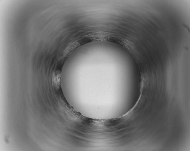 X0000101230190200807071421