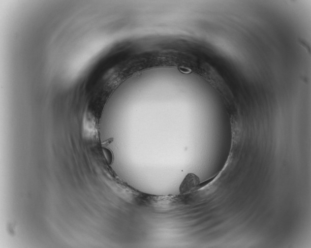 X0000101230191200807071421