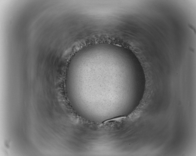 X0000101230192200807071421