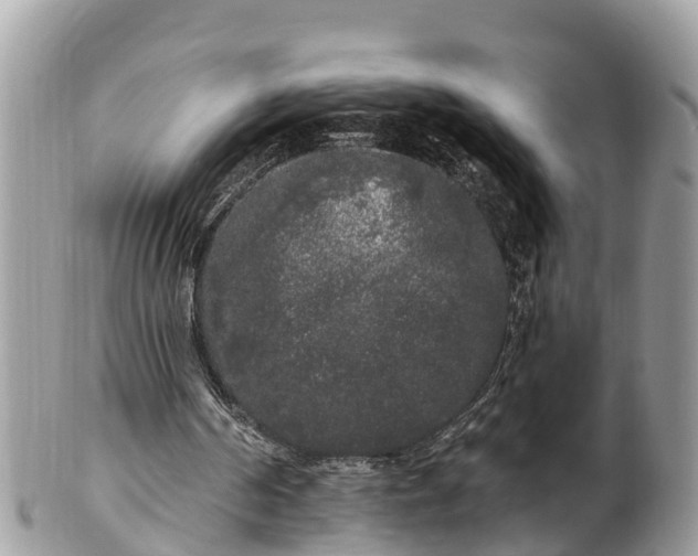 X0000101230194200807071420