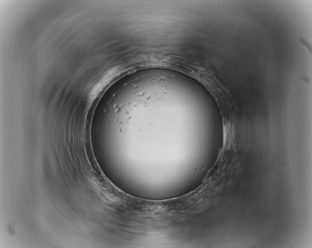 X0000101230195200807071420