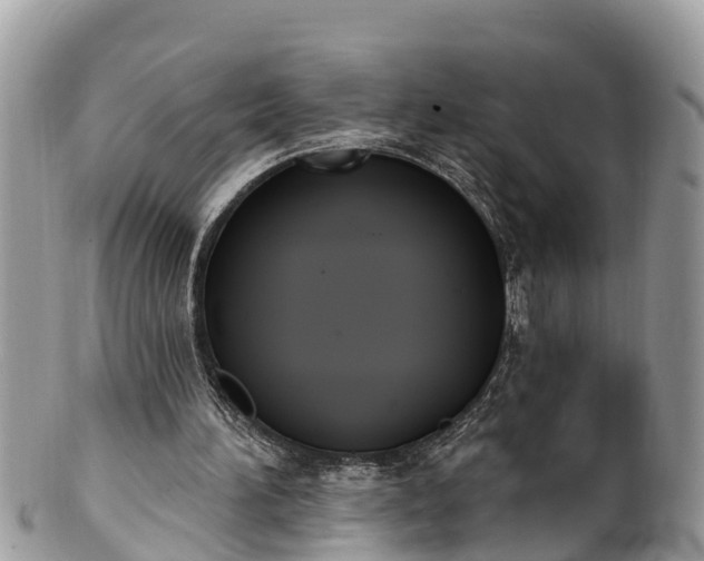 X0000101230196200807071420