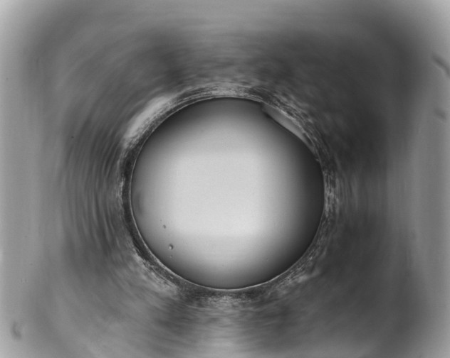 X0000101230197200807071420