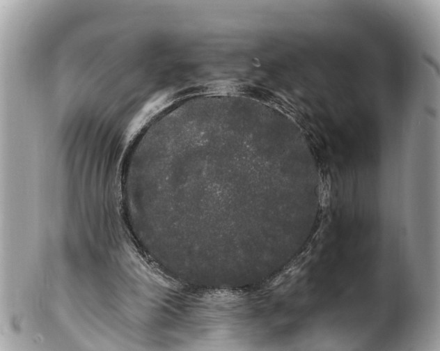 X0000101230198200807071420