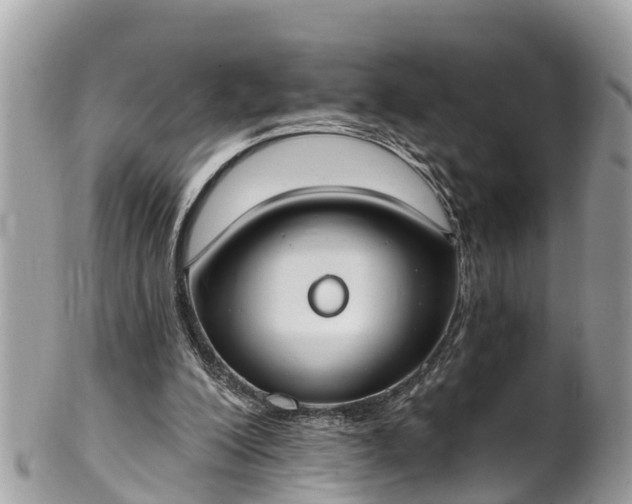 X0000101230200200807071420