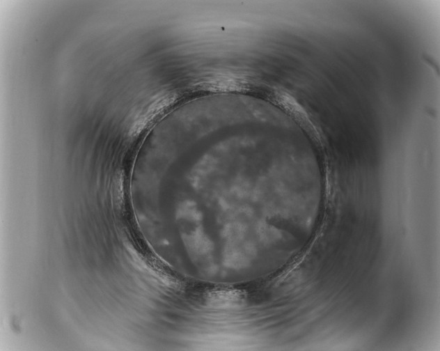 X0000101230202200807071420