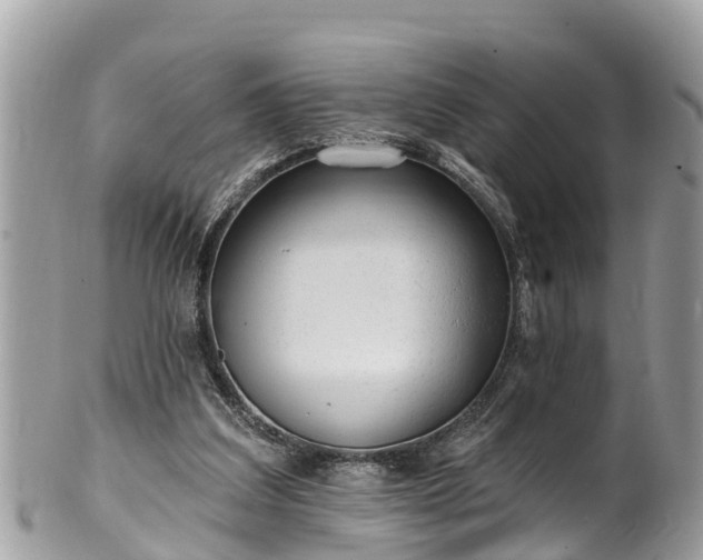 X0000101230203200807071420