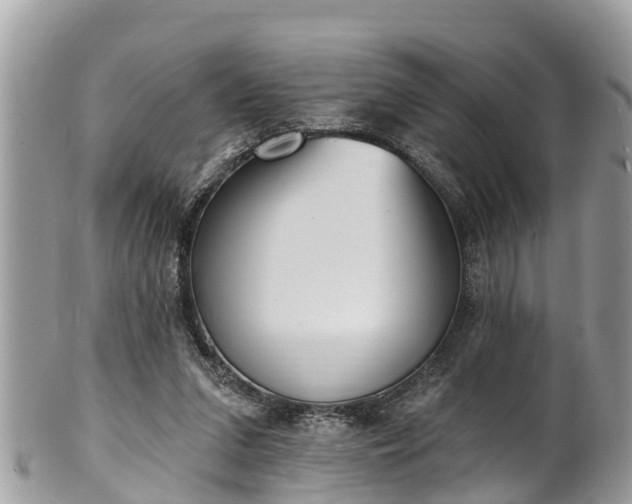 X0000101230207200807071420