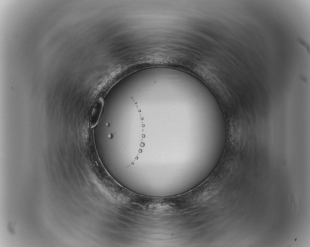 X0000101230208200807071420