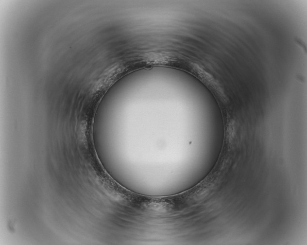 X0000101230209200807071420