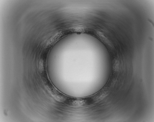 X0000101230213200807071420