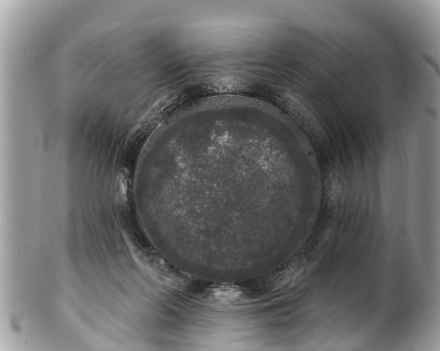 X0000101230214200807071420