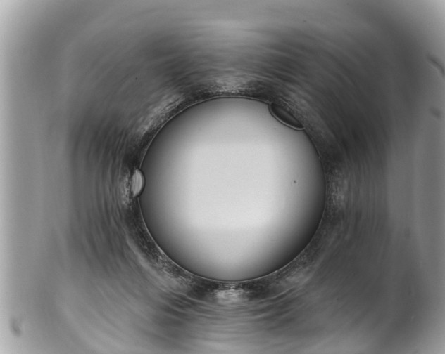 X0000101230216200807071420