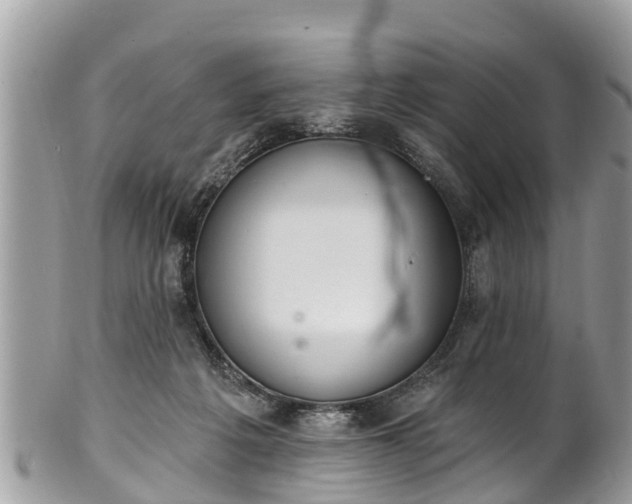 X0000101230217200807071420