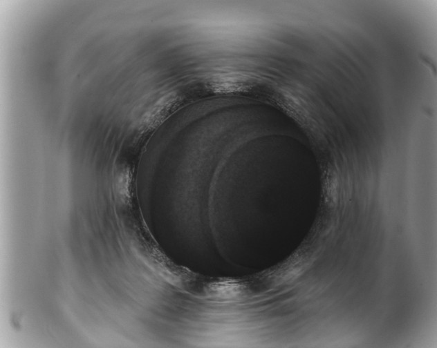 X0000101230219200807071420