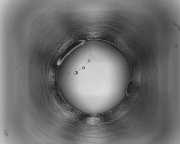 X0000101230220200807071420