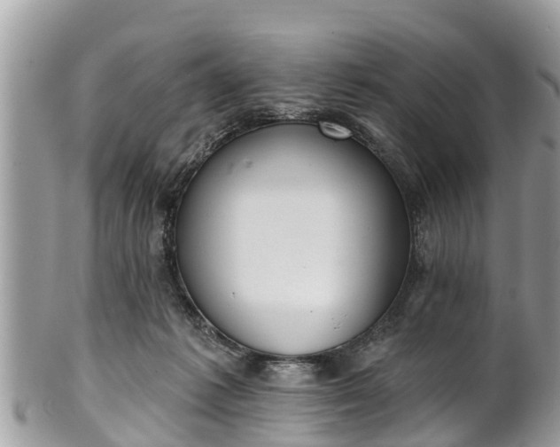 X0000101230221200807071420