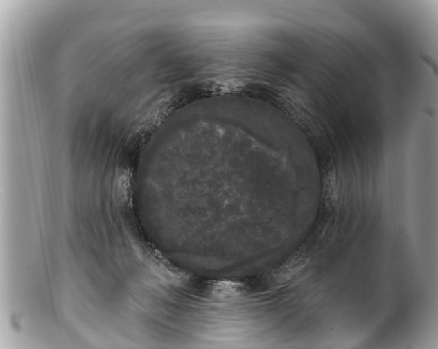 X0000101230222200807071420