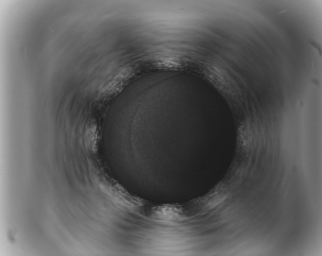 X0000101230223200807071420