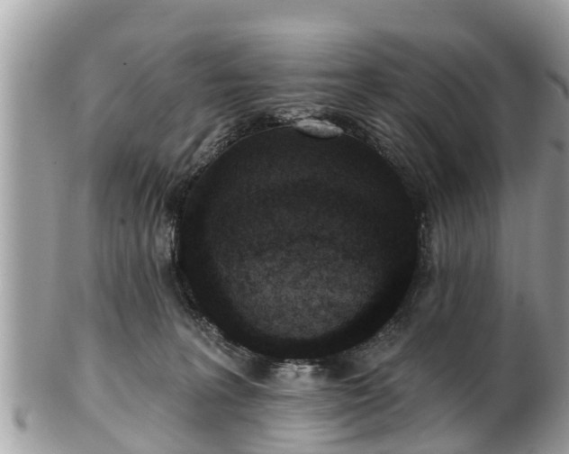 X0000101230227200807071419