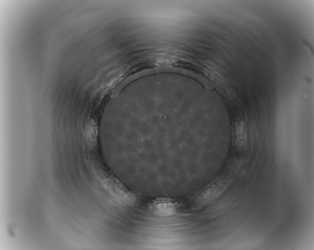 X0000101230228200807071419