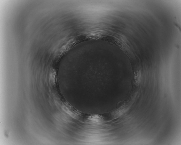 X0000101230231200807071419