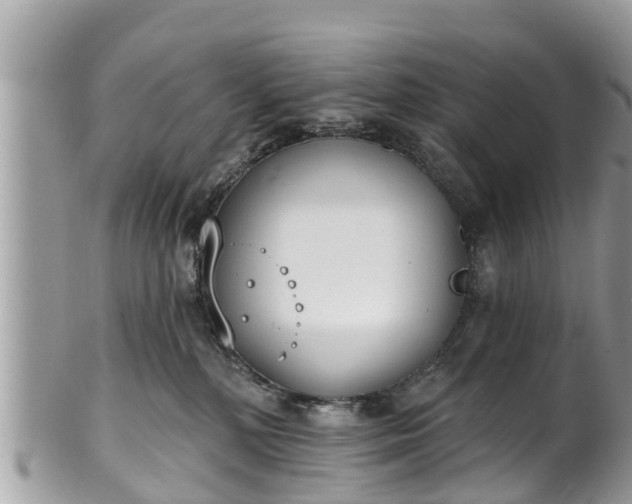 X0000101230232200807071419