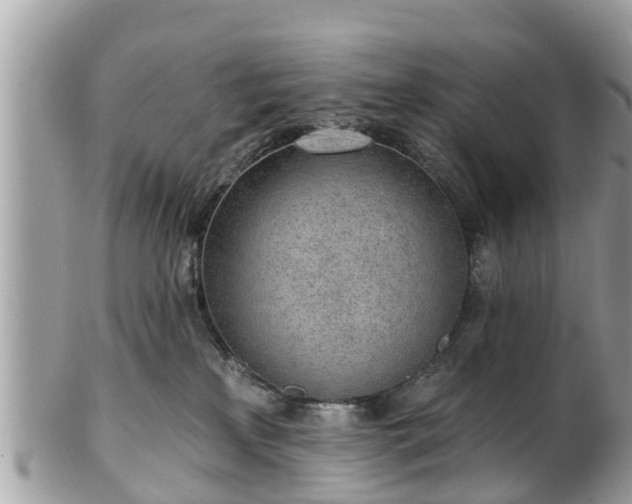 X0000101230233200807071419