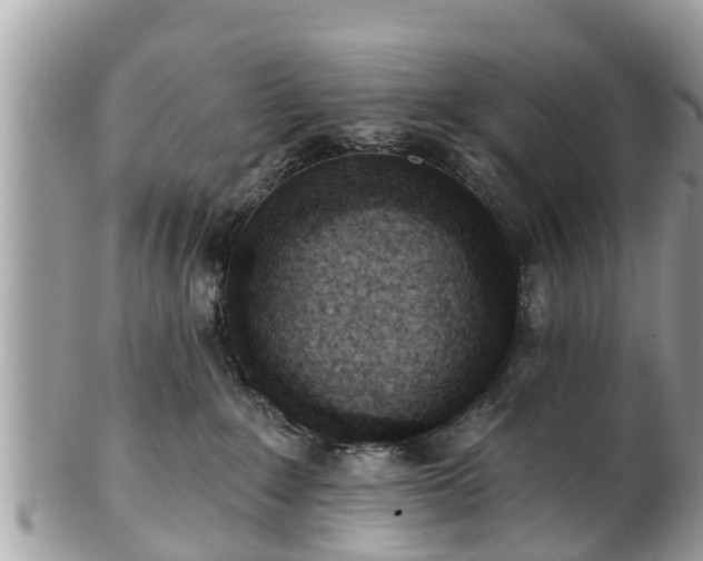 X0000101230235200807071419