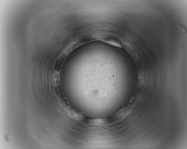 X0000101230237200807071419