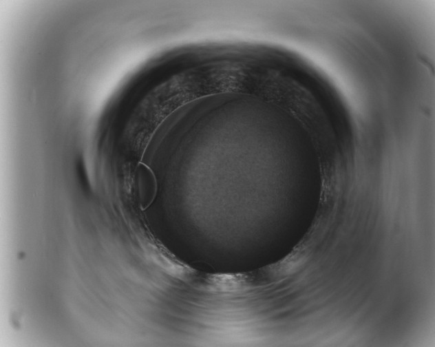 X0000101230239200807071419