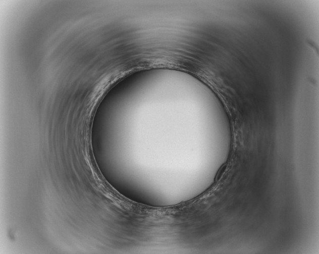 X0000101230241200807071419