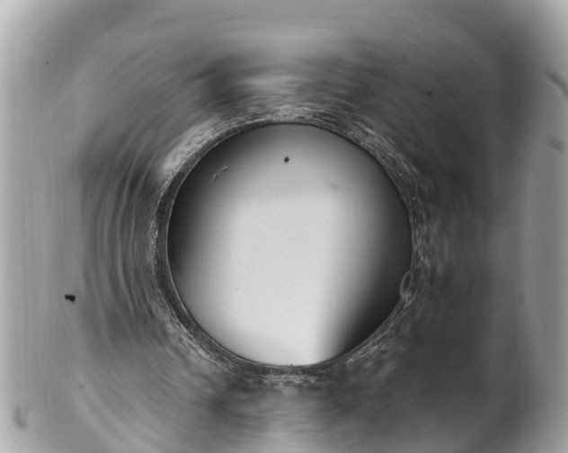 X0000101230242200807071419