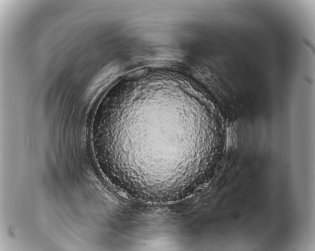 X0000101230243200807071419