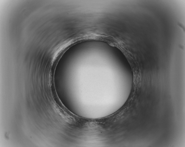 X0000101230244200807071419