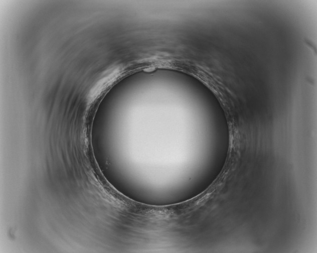 X0000101230245200807071419