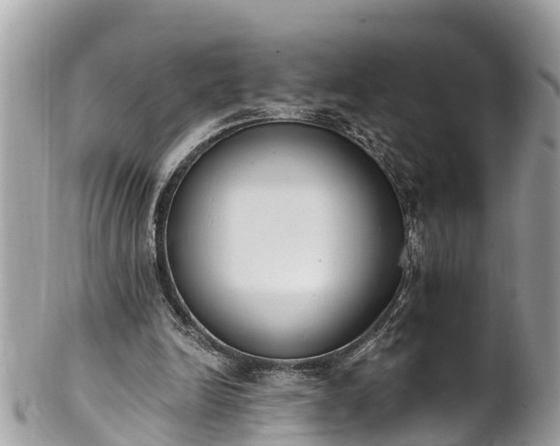 X0000101230246200807071419