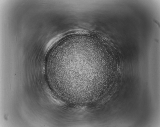 X0000101230247200807071419