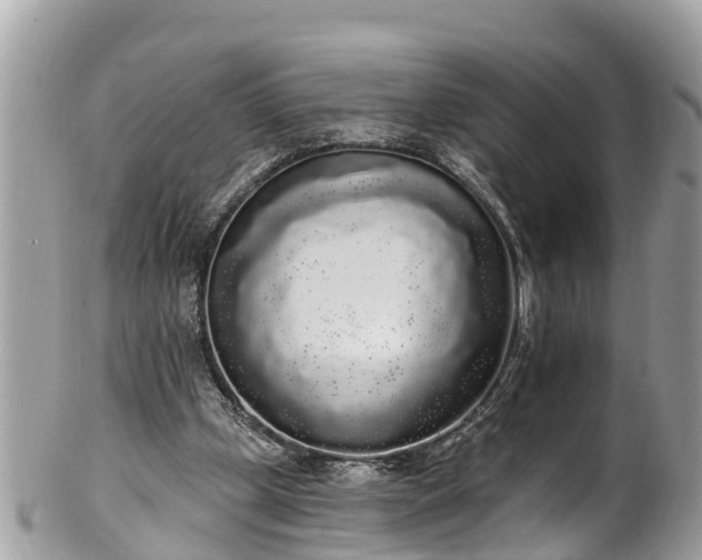 X0000101230249200807071419