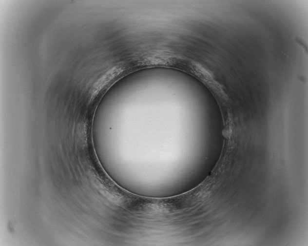 X0000101230250200807071419