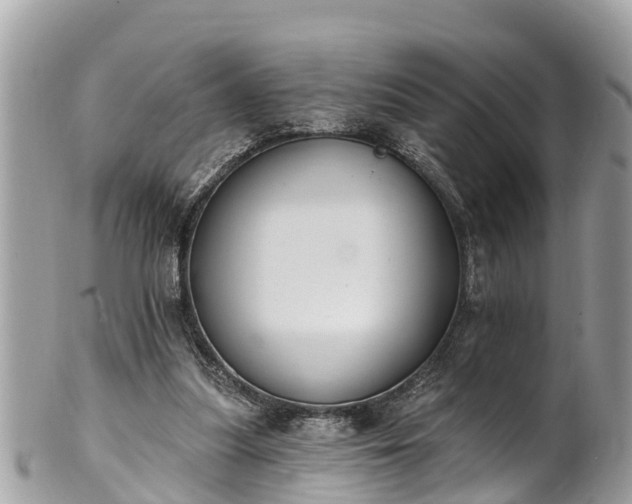 X0000101230251200807071419